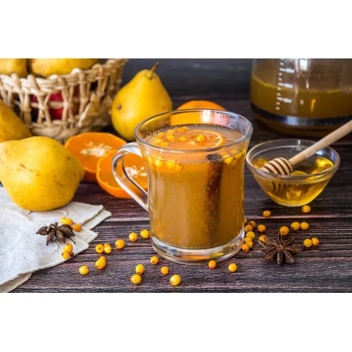 Диспенсер горячей воды CASO HW 666