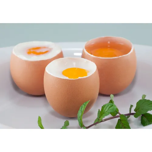 Яйцеварка CASO E 9 (УЦЕНКА) Яйцеварка CASO E 9 (УЦЕНКА)