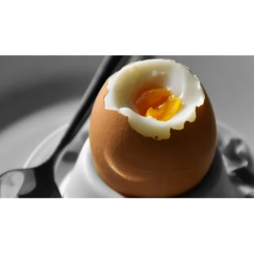 Яйцеварка CASO E 7 (УЦЕНКА) Яйцеварка CASO E 7 (УЦЕНКА)