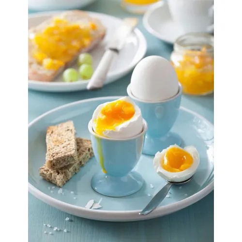 Яйцеварка CASO E 9 (УЦЕНКА) Яйцеварка CASO E 9 (УЦЕНКА)