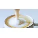 Капучинатор CASO Fomini Crema Inox