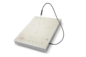 Индукционные плиты с термометром