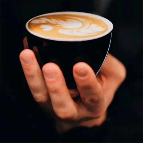Капучинатор CASO Crema Grande Jet
