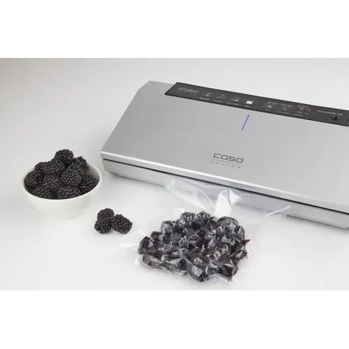 Вакуумный упаковщик CASO Gourmet VAC 380