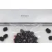Вакуумный упаковщик CASO Gourmet VAC 480