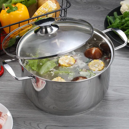 Индукционная плита CASO Pro Gourmet 3500