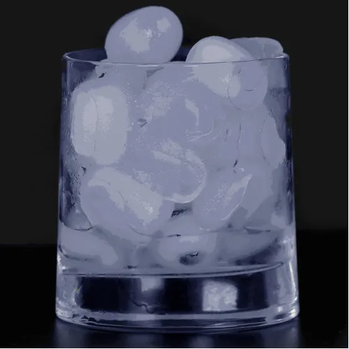 Ледогенератор CASO IceMaster Pro Ледогенератор CASO IceMaster Pro