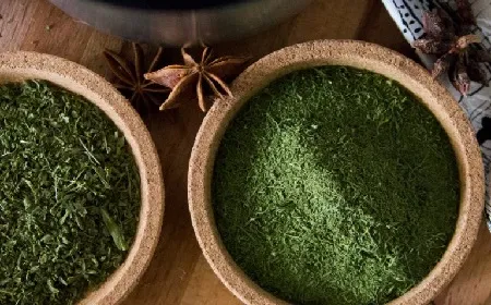 Травы в измельчителе