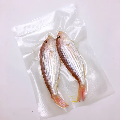 Вакуумный упаковщик CASO VC 11