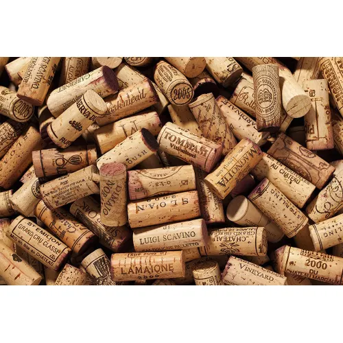 Винный шкаф CASO WineComfort 1800 Smart