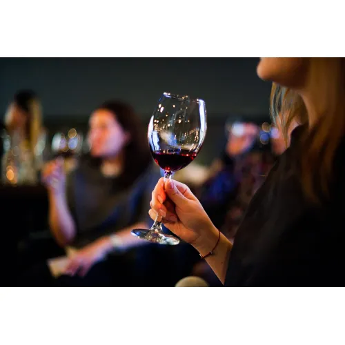 Винный шкаф CASO WineSafe 75